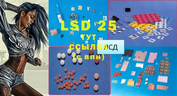 прущие грибы Ступино